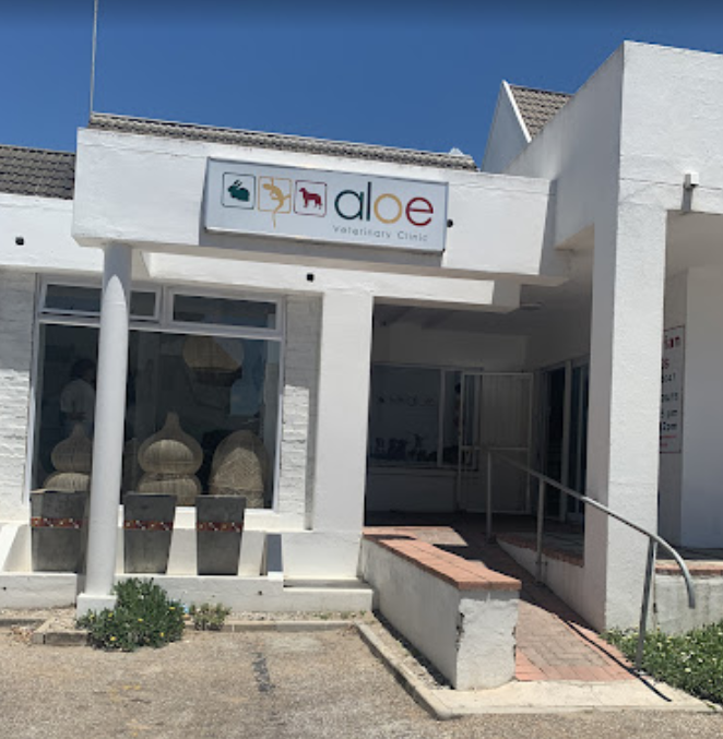 Aloe vet clinic